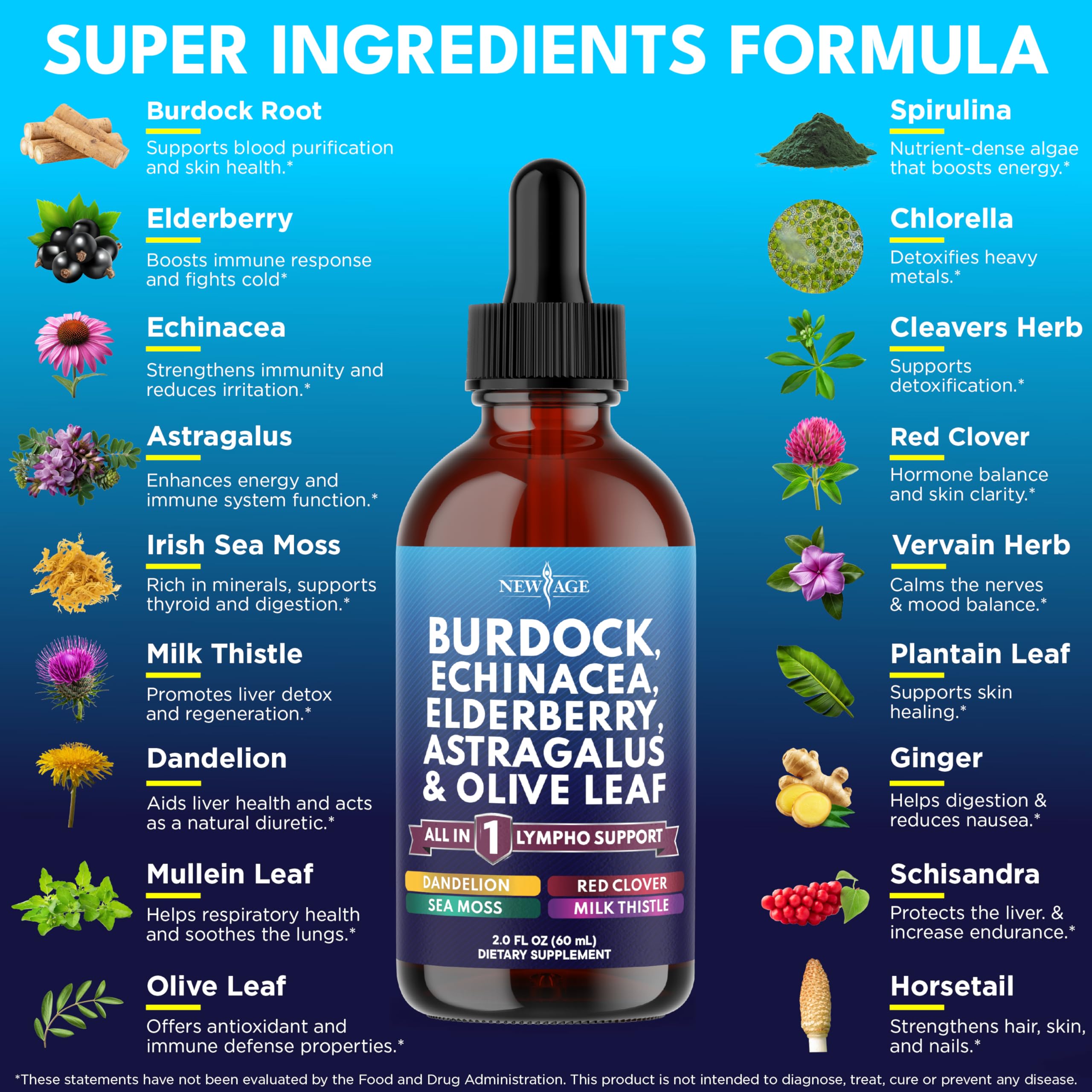 NEW AGE Echinacea Burdock Root Liquid Drops bottle with label