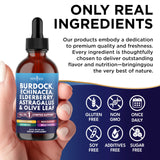 NEW AGE Echinacea Burdock Root Liquid Drops with herbal ingredients