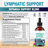 NEW AGE Echinacea Lymph Drops lifestyle scene on kitchen counter