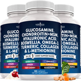 NEW AGE Glucosamine Chondroitin MSM Supplement front view