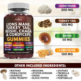 NEW AGE Mushroom Supplement Gummies showing the gummies
