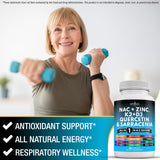 NEW AGE Triphala Supplement ingredients list