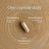 New Chapter All-Flora Probiotic 10 Billion CFU capsule close-up