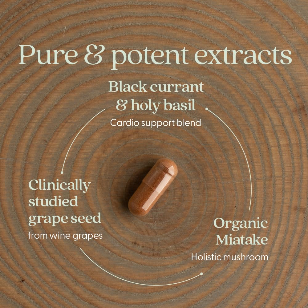New Chapter Blood Pressure Take Care Supplement packaging