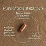 New Chapter Blood Pressure Take Care Supplement packaging