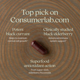New Chapter Elderberry Force 64x concentrated supplement with packaging