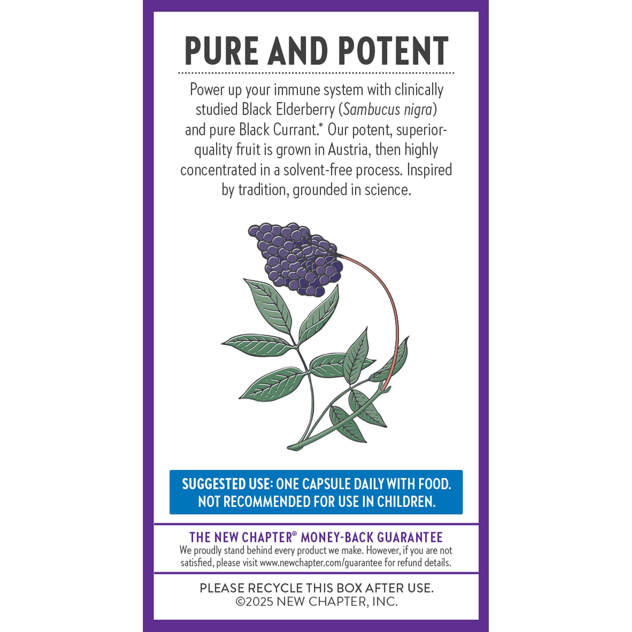 New Chapter Elderberry Force supplement in a hand