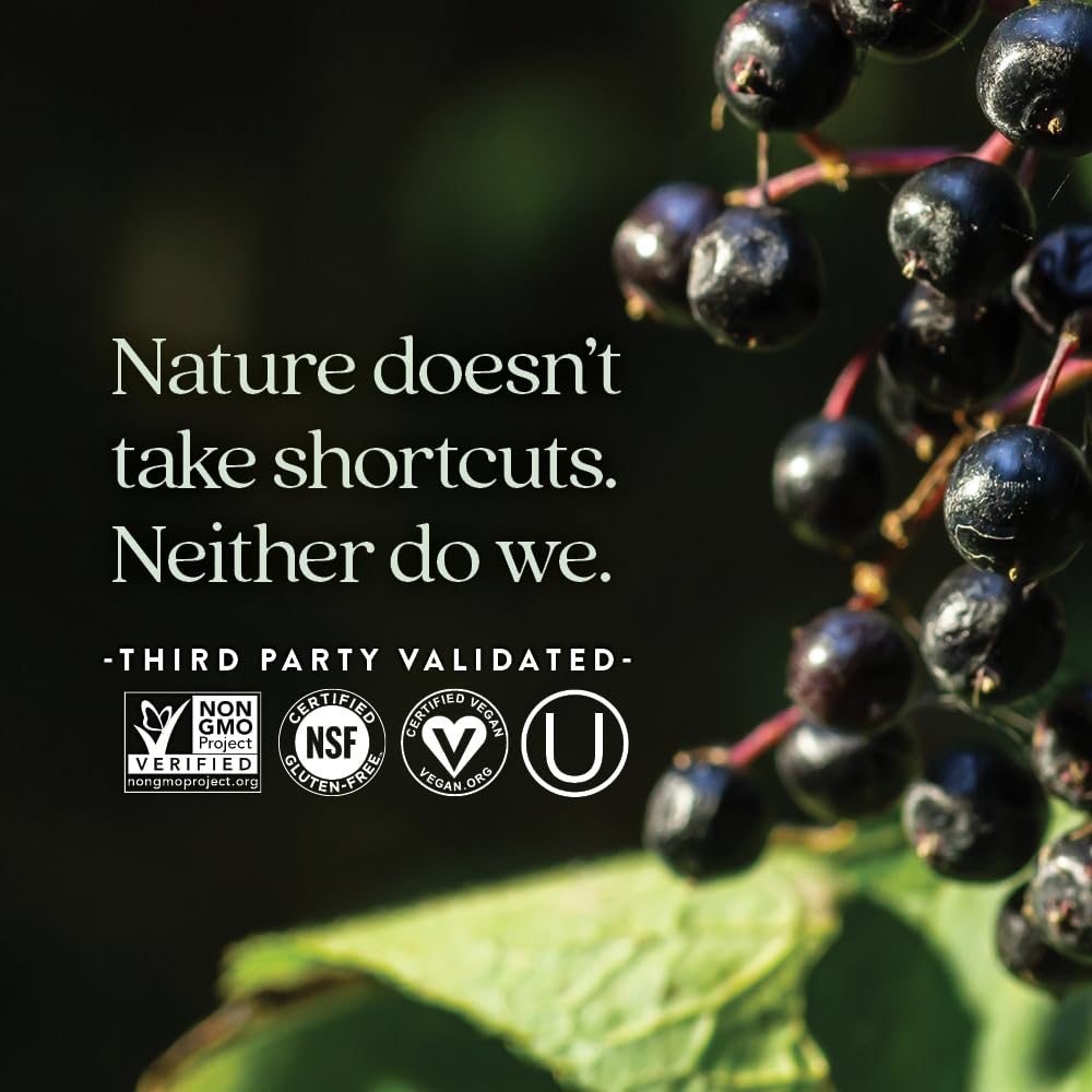 New Chapter Elderberry Force supplement ingredients list