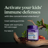 New Chapter Elderberry Gummies for Kids close-up of gummies