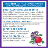 New Chapter Elderberry Gummies for Kids lifestyle scene with children
