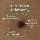New Chapter Elderberry Gummies for Kids side view packaging