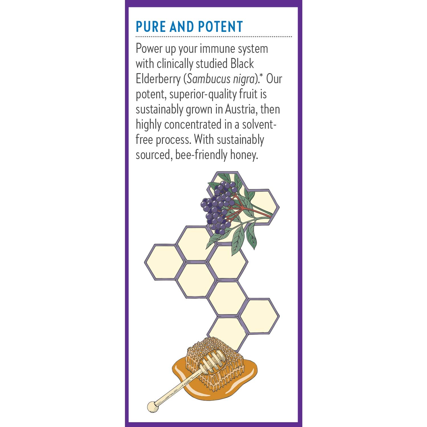 New Chapter Elderberry Syrup 290g lifestyle scene