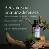 New Chapter Elderberry Syrup 290g with honey and elderberries