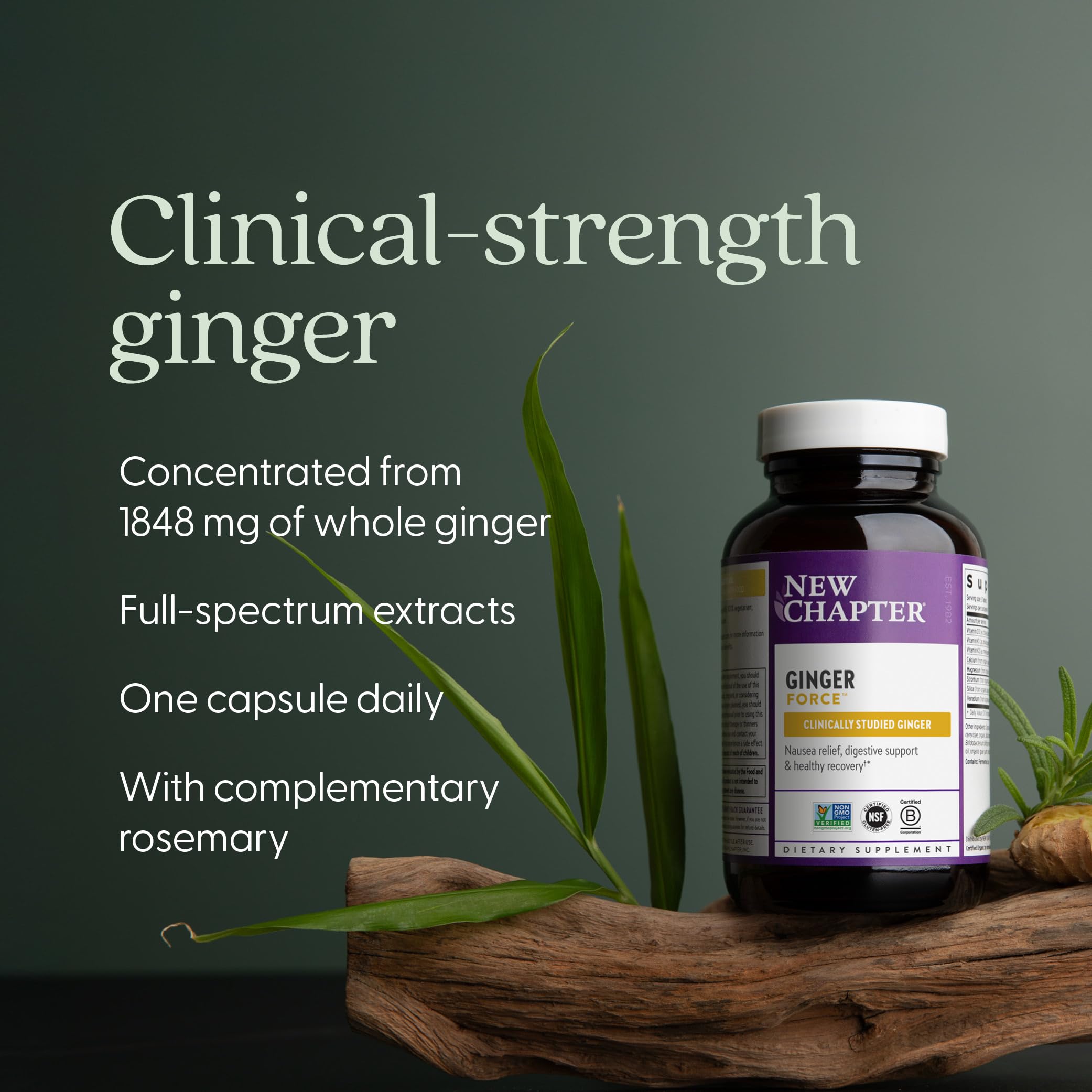 New Chapter Ginger Force 1848mg herbal supplement capsules packaging