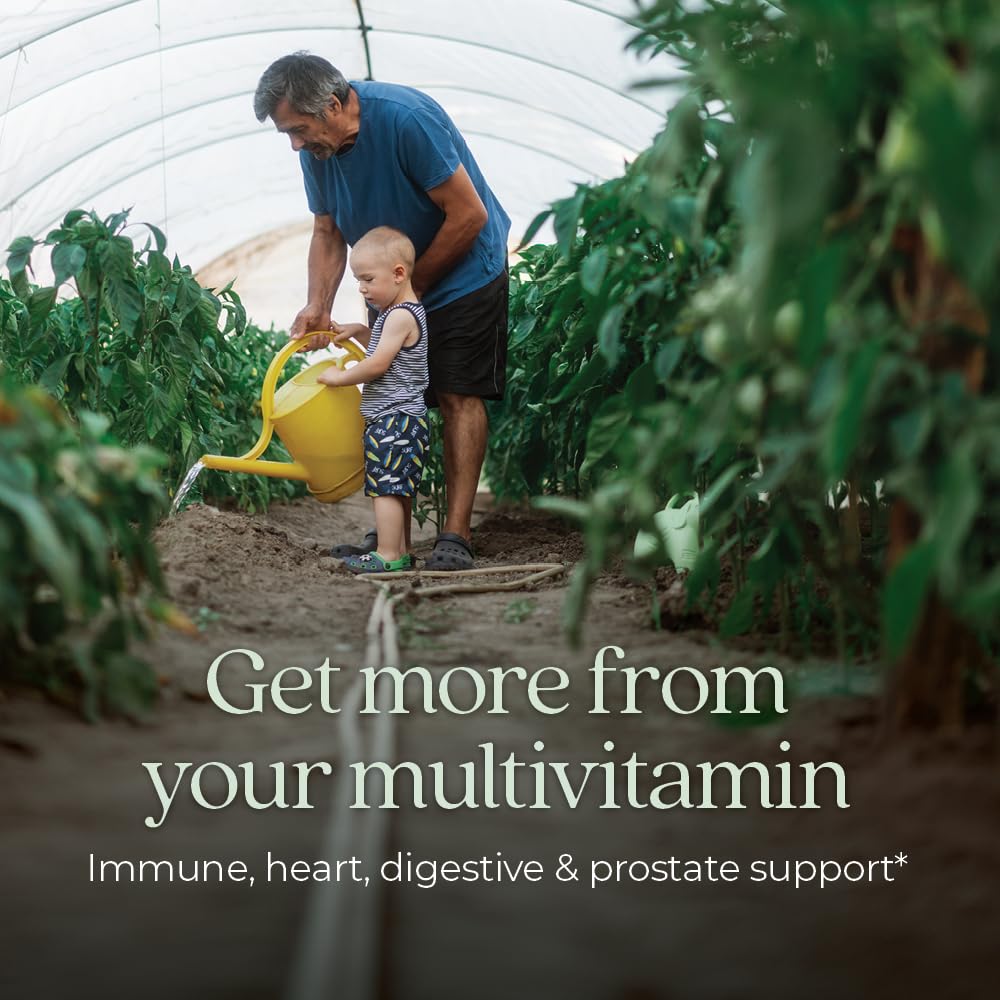 New Chapter Men's Multivitamin 55+ tablet close-up