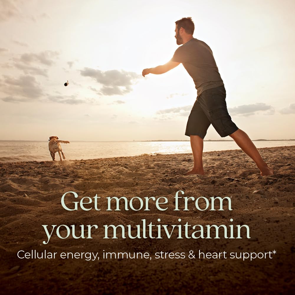 New Chapter Men's Multivitamin packaging side view