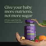 New Chapter Prenatal Gummy Vitamins 3-a-Day back view with ingredient list