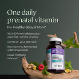 New Chapter Prenatal Vitamins 30 Tablets with Ginger ingredient