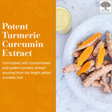 NEW NORDIC Turmeric Gummies showing mango orange flavour