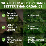 NEW ROOTS HERBAL Oregano Oil with Garlic 30ml on wooden surface