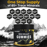 Newrish Shilajit Gummies nutritional information on packaging