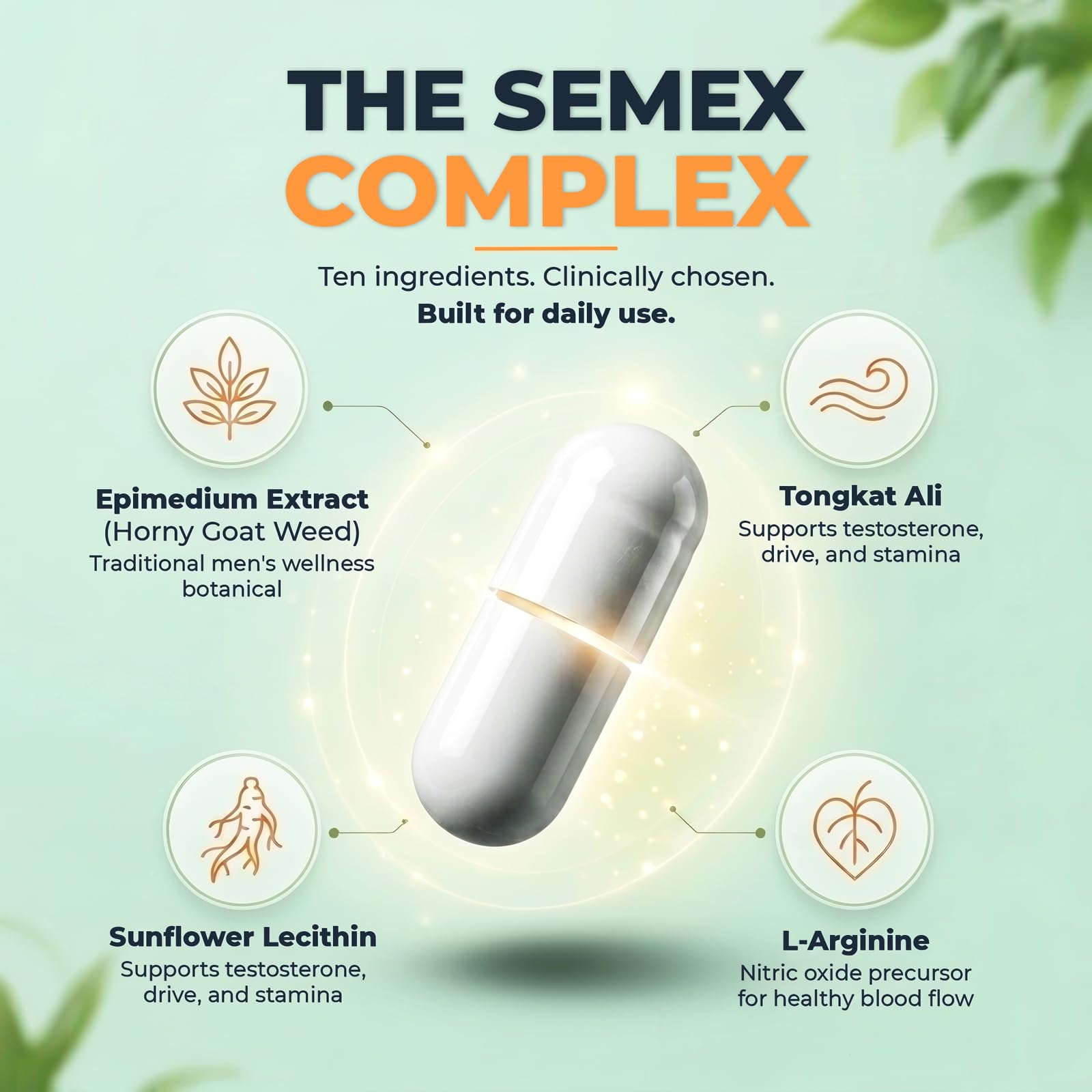 Newt Blended Vitamin & Mineral Supplement ingredients list