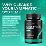 NEXGEN BLENDS Echinacea Lymph Support Supplement on a wooden table