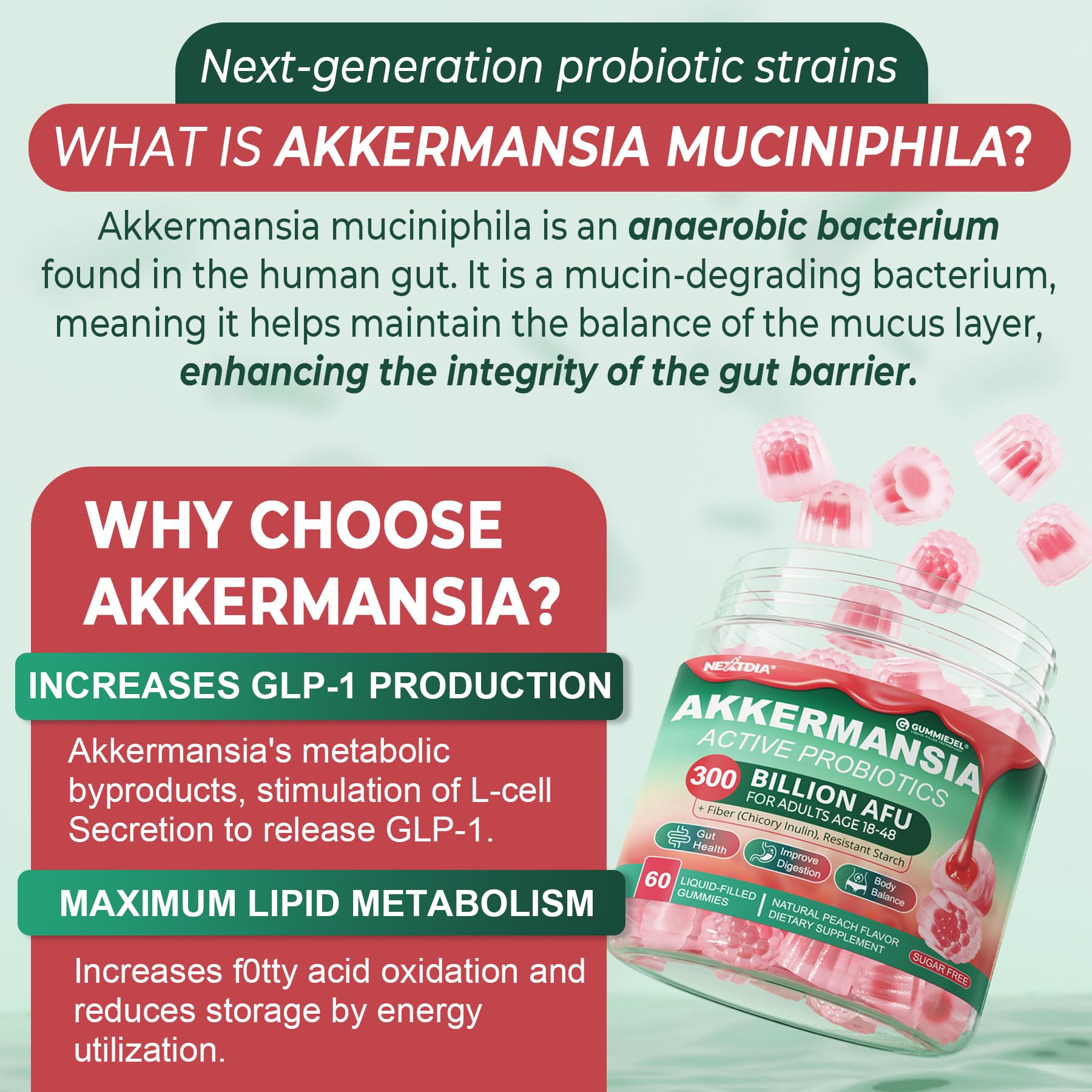 Nextdia Akkermansia Gummies nutritional information