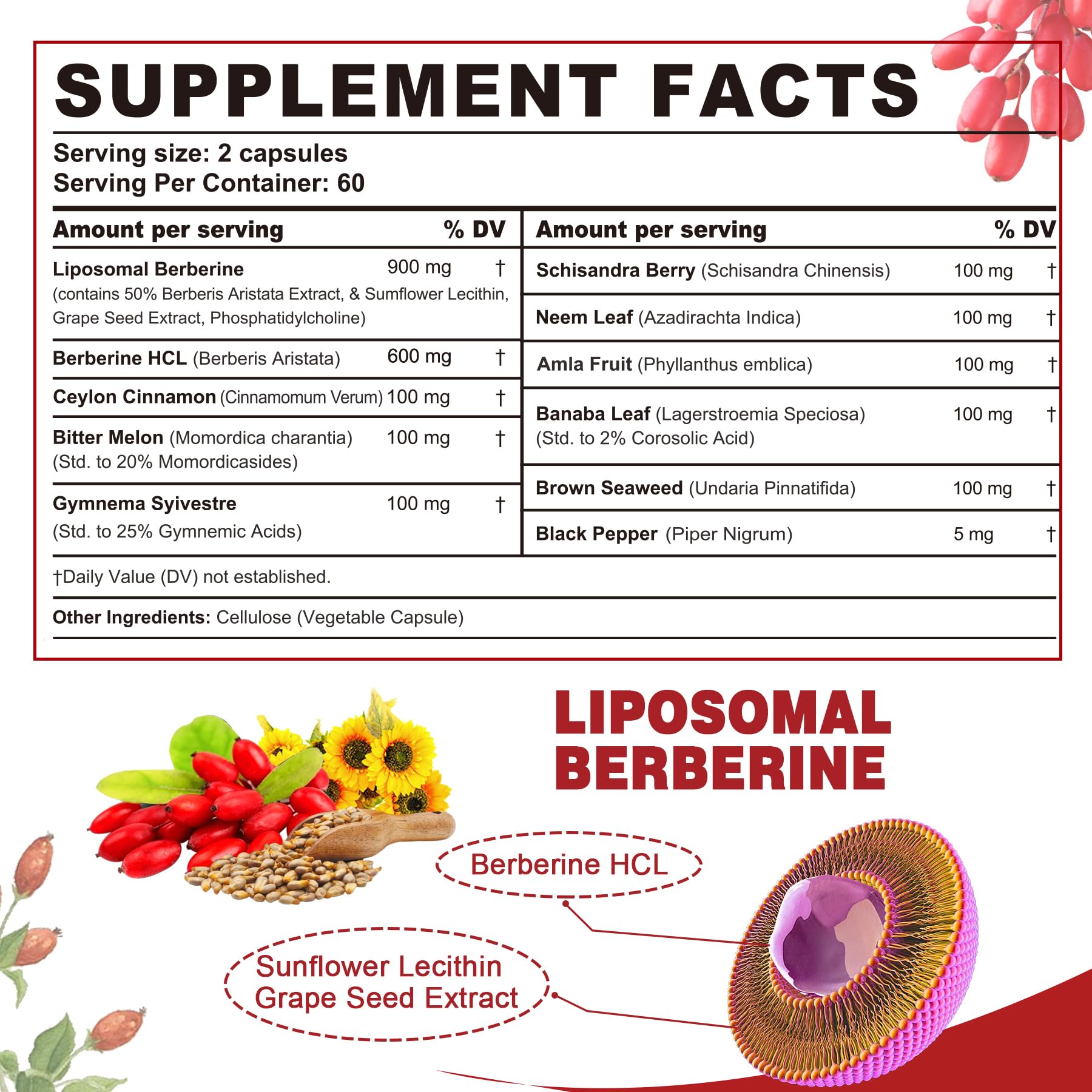 Nextdia Berberine Ceylon Cinnamon Capsules bottle with 120 veggie caps
