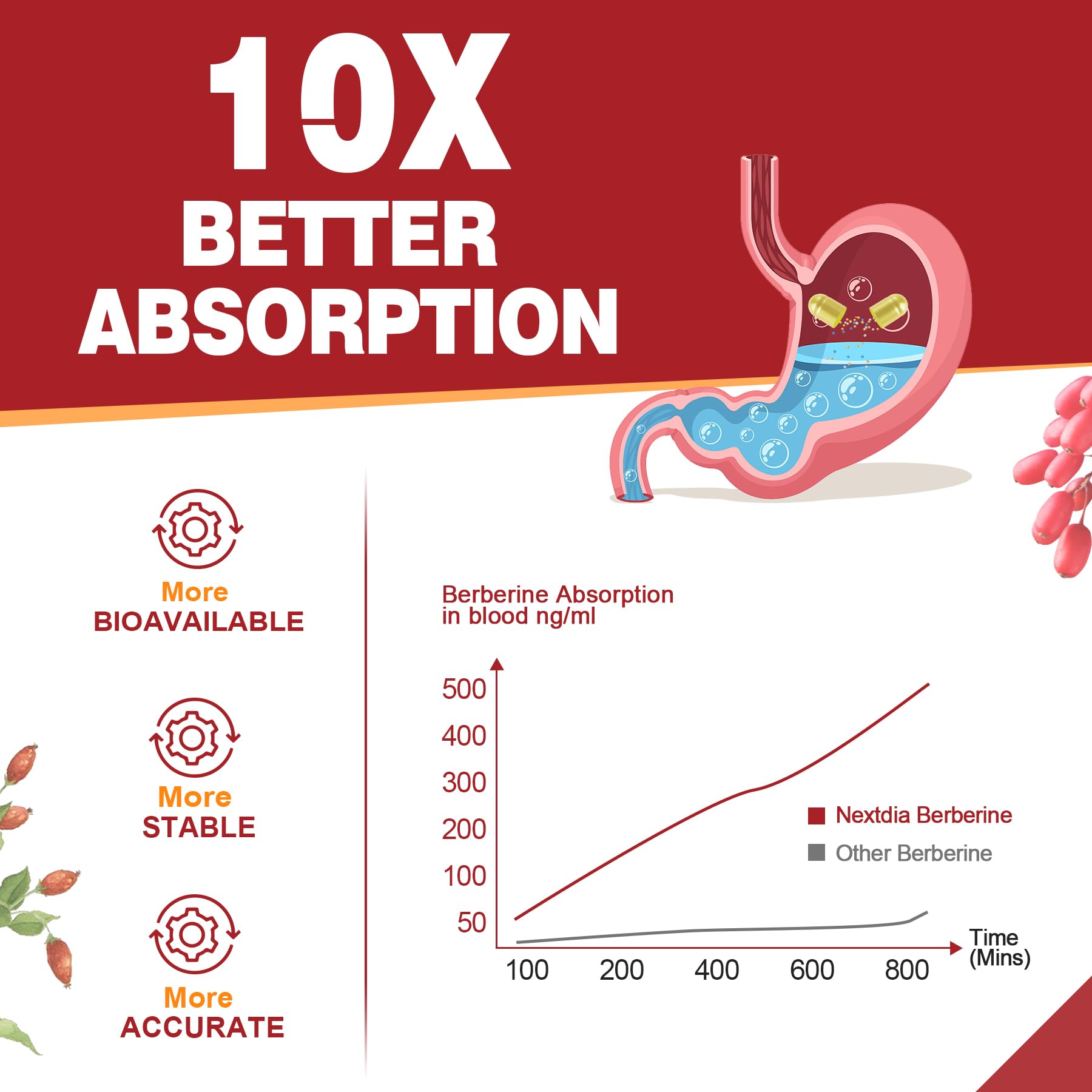 Nextdia Berberine Ceylon Cinnamon Capsules with Ceylon Cinnamon and herbs