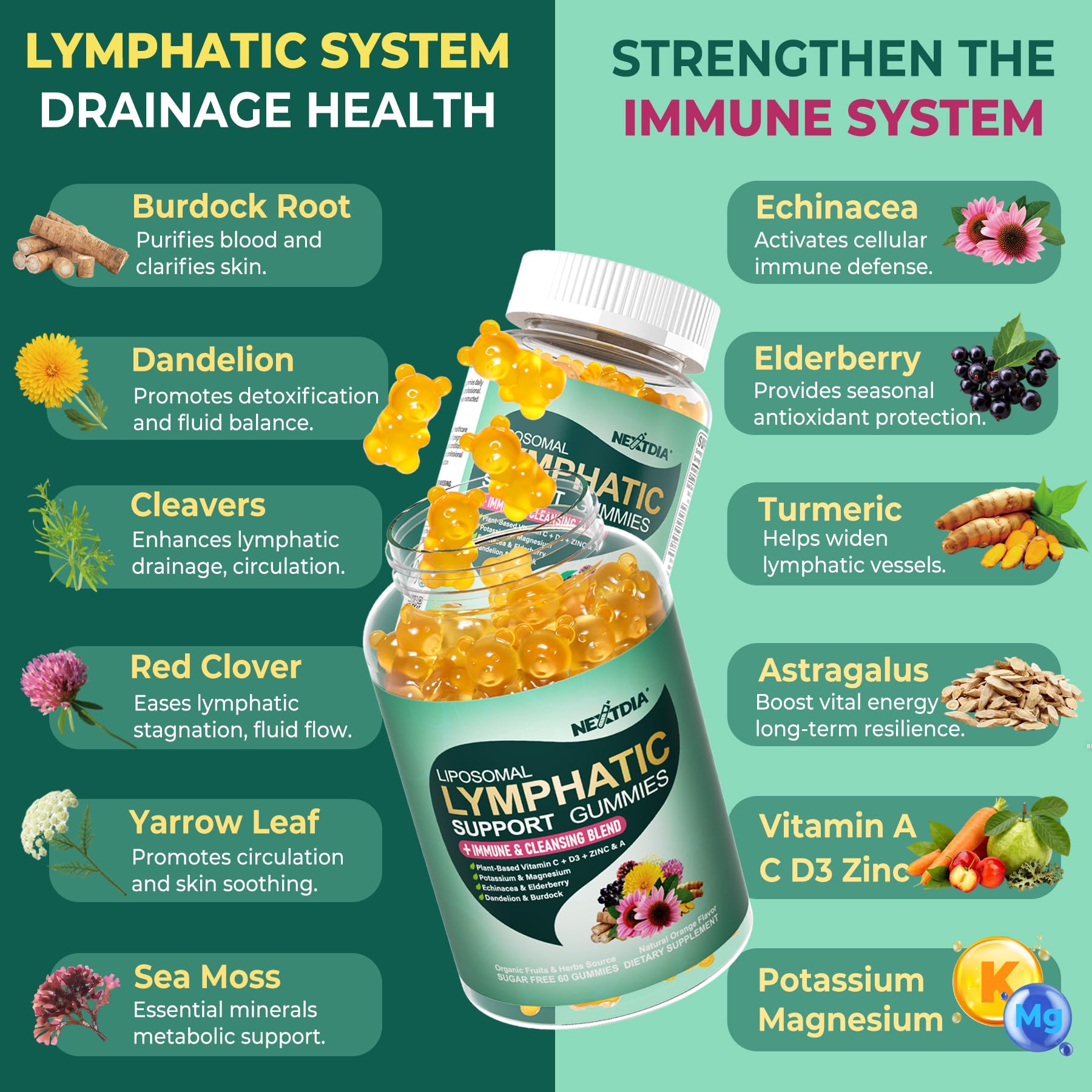 Nextdia Echinacea 16-IN-1 Lymphatic Complex on a kitchen counter