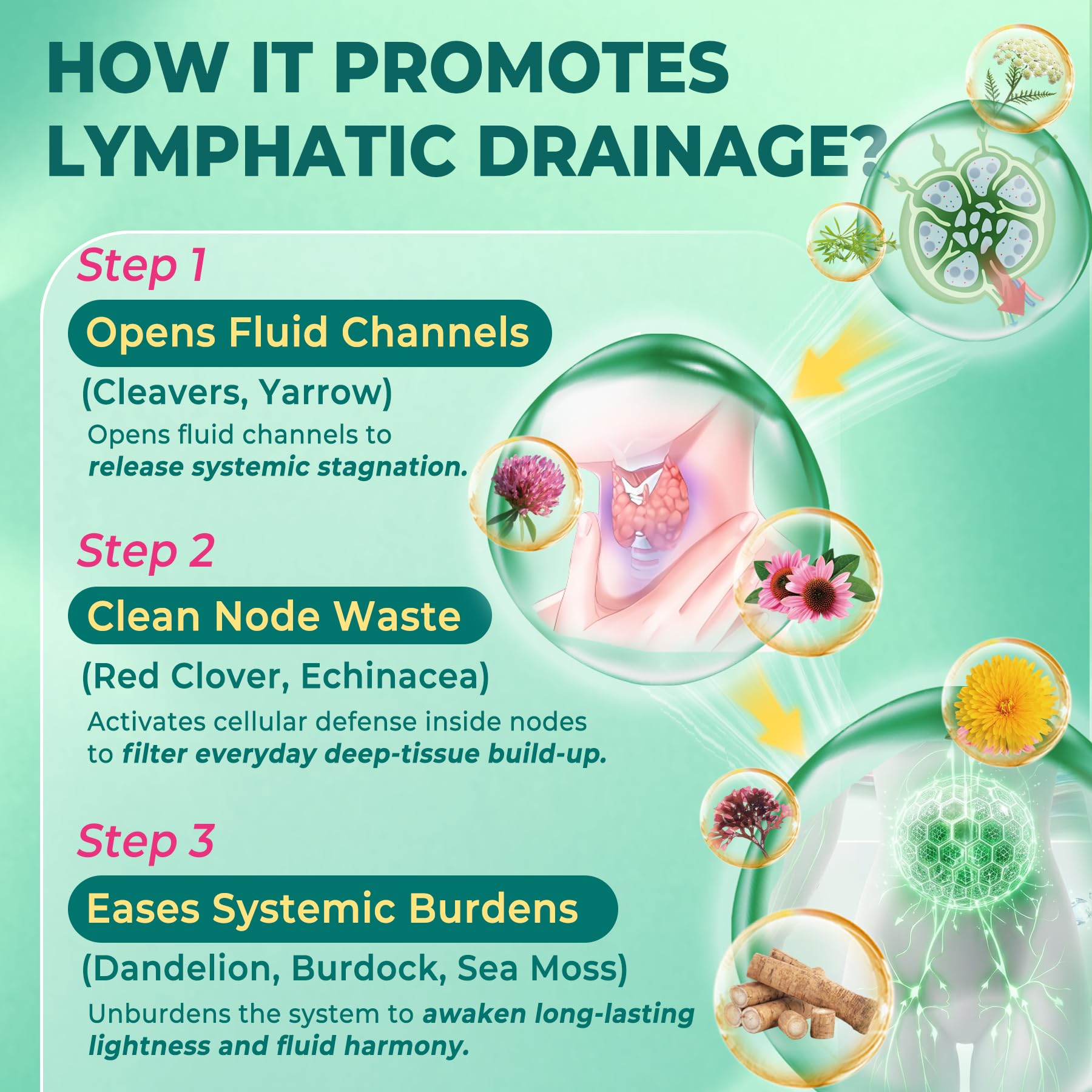 Nextdia Echinacea 16-IN-1 Lymphatic Complex packaging