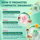 Nextdia Echinacea 16-IN-1 Lymphatic Complex packaging