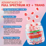 Nextdia Full-Spectrum Vitamin K2 Gummies in hand for scale