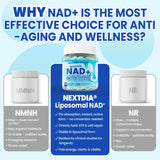 Nextdia NAD+ Liquid Gummies 500mg showing gummy texture