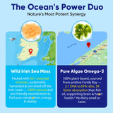 Nextdia Sea Moss + Omega-3 Gummies ingredients list