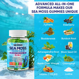 Nextdia Sea Moss + Omega-3 Gummies on a table