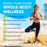 Nextdia Sea Moss + Omega-3 Gummies with fresh apples