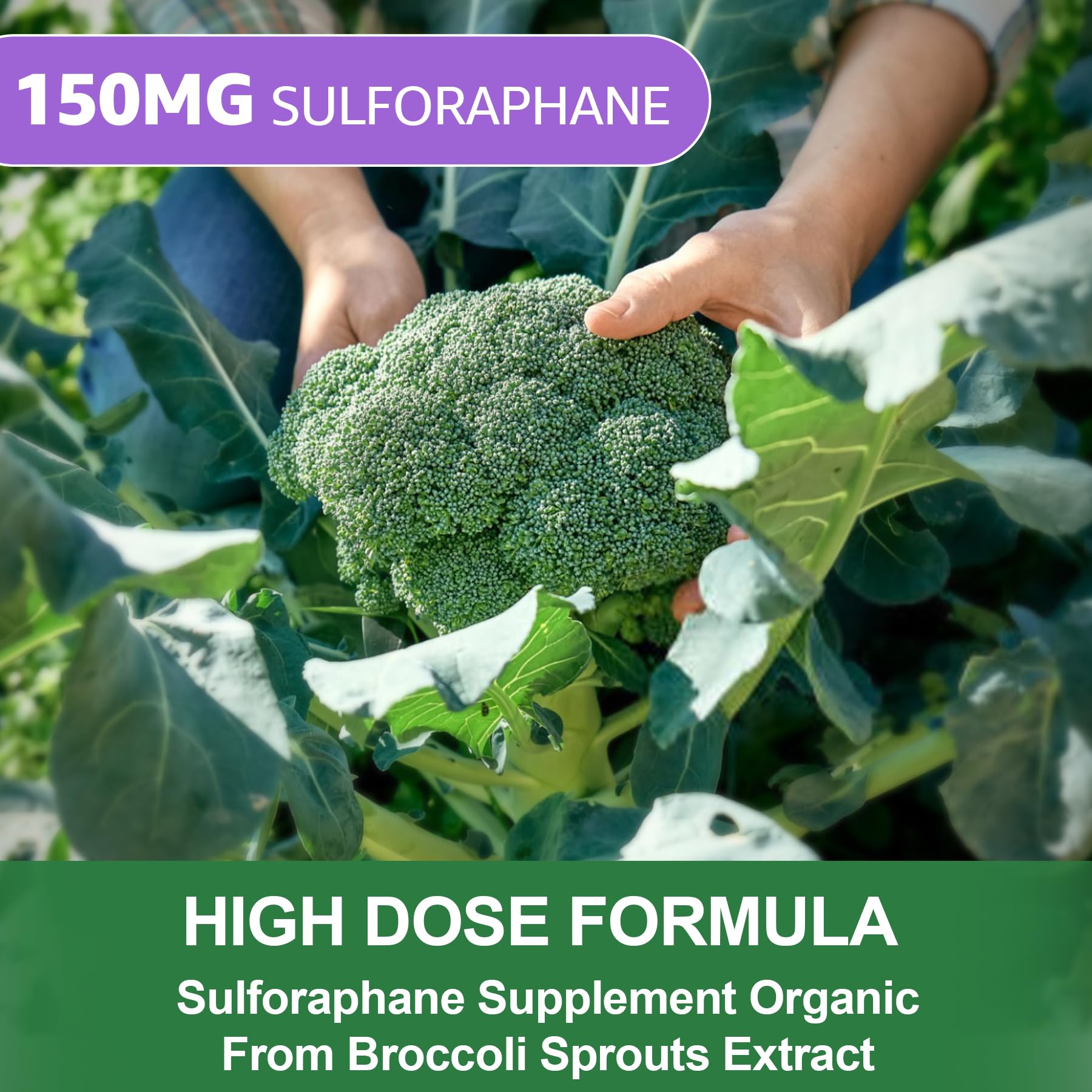 Nextdia Sulforaphane Gummies side view with dosage details