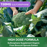 Nextdia Sulforaphane Gummies side view with dosage details