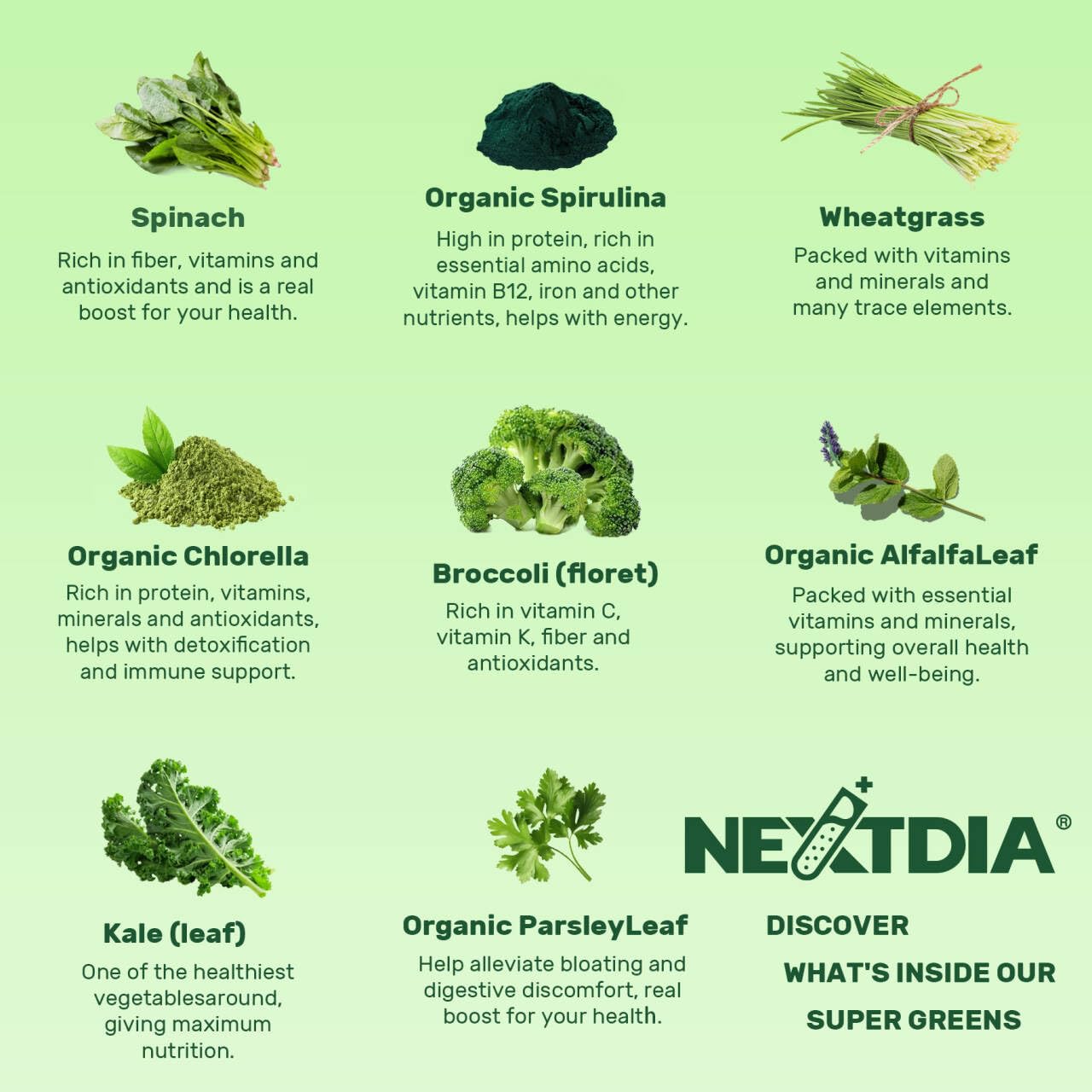 Nextdia Super Greens + Multivitamin Gummies in a hand