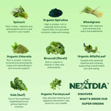 Nextdia Super Greens + Multivitamin Gummies in a hand