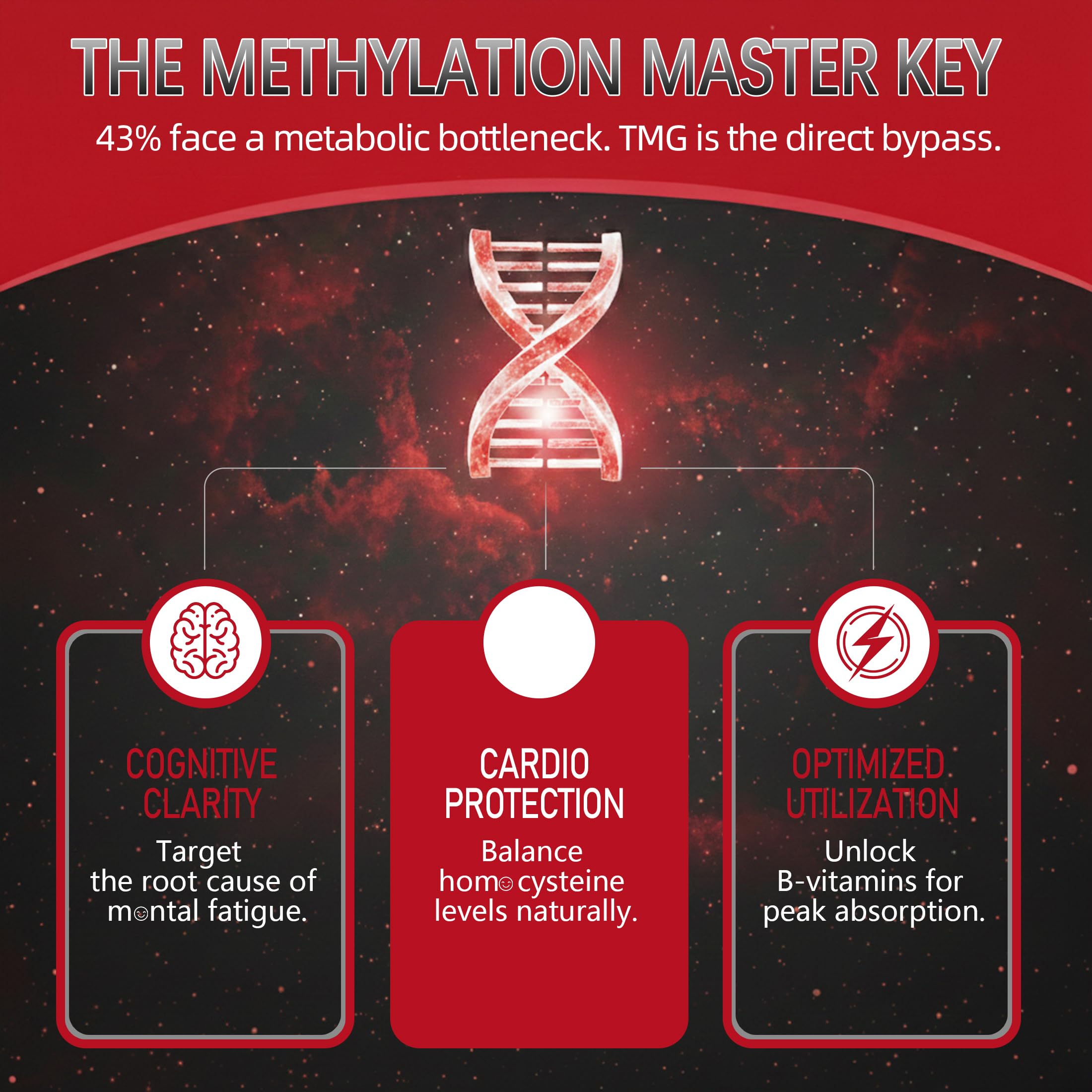 Nextdia TMG Methylated Multivitamin 1000mg ingredients list