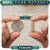 NEXTGRADE Daily Liver Support Supplement lifestyle scene