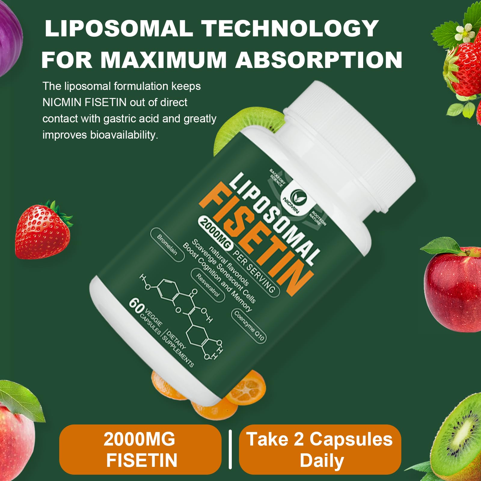 NICMIN Fisetin Supplement 2000mg capsules in hand