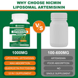 NICMIN Quercetin Supplement 1000mg back view