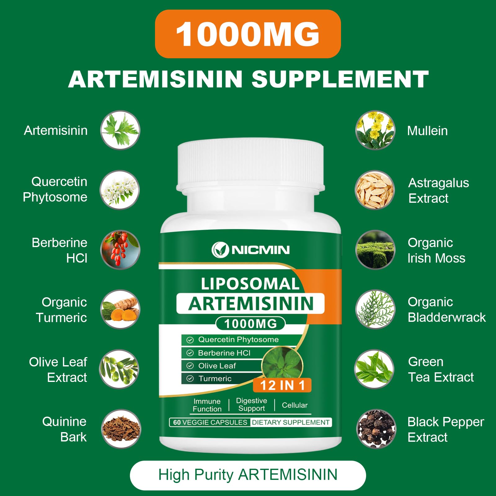 NICMIN Quercetin Supplement 1000mg capsule close-up