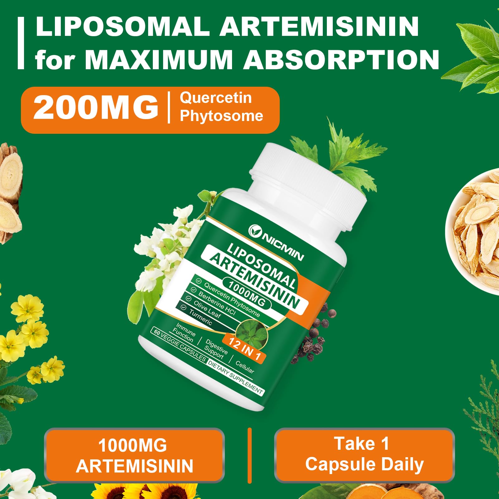 NICMIN Quercetin Supplement 1000mg packaging