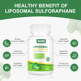 NICMIN Sulforaphane Supplement ingredients list