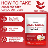 NIFEISHI Aged Garlic Supplement with measuring spoon